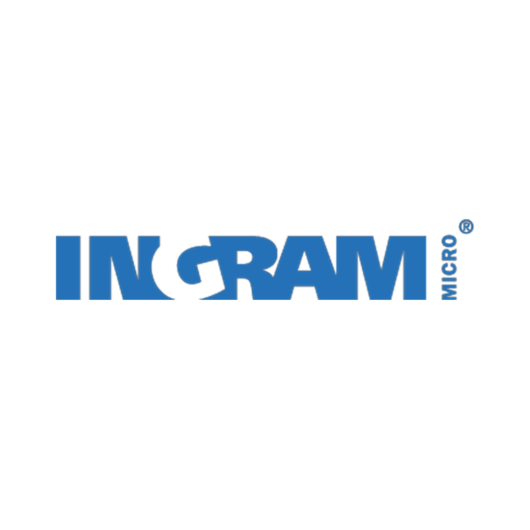ingram-micro_20250117122649352