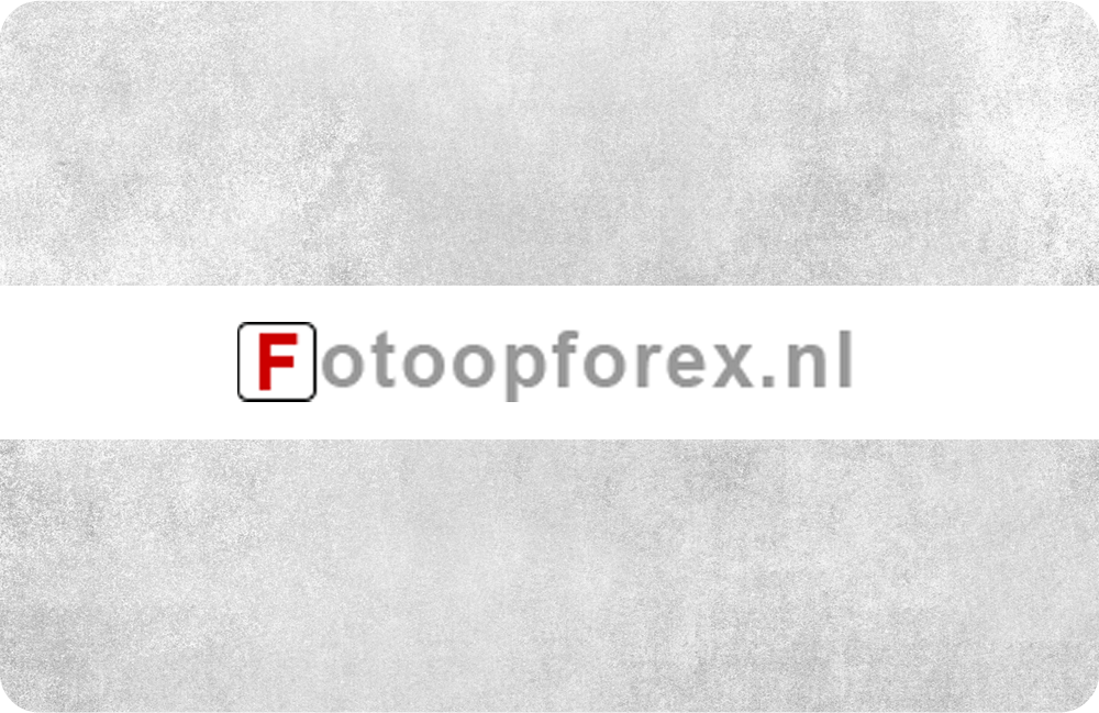 foto-op-forex_20240425114450696