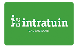 intratuin_20250117131751835